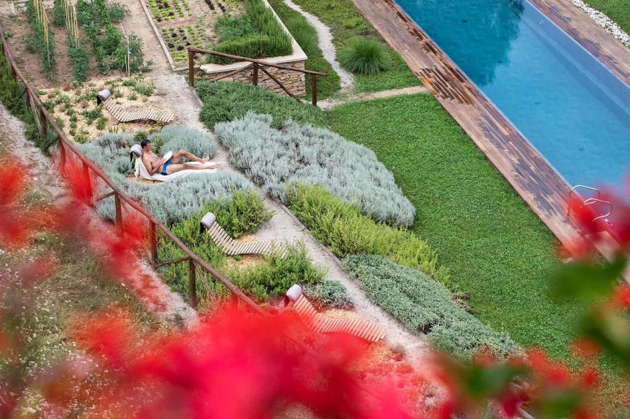 Dionisia'S Home, Pool, Spa On Monviso Unesco Alps Verzuolo المظهر الخارجي الصورة