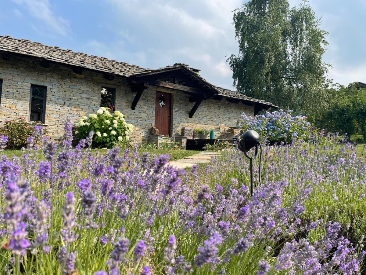 Dionisia'S Home, Pool, Spa On Monviso Unesco Alps Verzuolo المظهر الخارجي الصورة